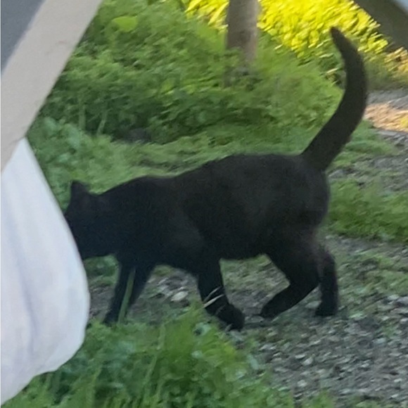 💕TRADE💕 - Picture 3 of 13